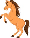 Cartoon funny brown horse standing Royalty Free Stock Photo