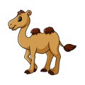 Cartoon funny camel smile and standing Royalty Free Stock Photo