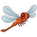 Cartoon funny dragonfly isolated on white background Royalty Free Stock Photo