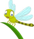 Cartoon funny dragonfly on leaf