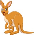 Cartoon funny Kangaroo isolated on white background Royalty Free Stock Photo