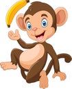 Cartoon funny monkey holding banana Royalty Free Stock Photo