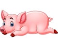 Cartoon funny pig Royalty Free Stock Photo