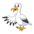 Cartoon funny seagull presenting isolated on white background Royalty Free Stock Photo