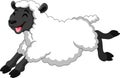 Cartoon funny sheep a smile