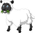 Cartoon funny sheep a smile