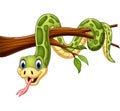 Cartoon green snake on tree branch Royalty Free Stock Photo