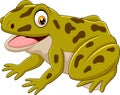 Cartoon happy green frog Royalty Free Stock Photo