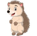 Cartoon happy hedgehog standing on white background