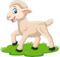 Cartoon happy lamb on the grass