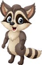 Cartoon happy raccoon on white background