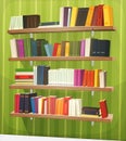 Cartoon Library Bookshelf On The Wall Royalty Free Stock Photo