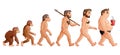 Cartoon human evolution Royalty Free Stock Photo
