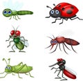 Cartoon insect collection set