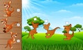 Cartoon kangaroos collection set. Find the correct shadow on board. Educational game for children