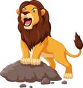 Cartoon lion roaring isolated on white background Royalty Free Stock Photo