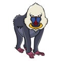 Cartoon mandrill baboon isolated on white background