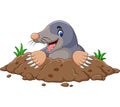 Cartoon mole come out of the hole Royalty Free Stock Photo