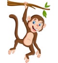 Cartoon monkey hanging in tree branch