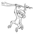 Cartoon monkey hanging on tree branch line art Royalty Free Stock Photo