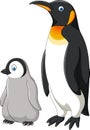 Cartoon mother and baby penguin isolated on white background Royalty Free Stock Photo