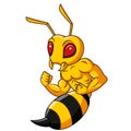 Cartoon muscular hornet mascot isolated on white background Royalty Free Stock Photo