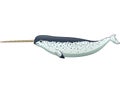 Cartoon narwhal isolated on white background Royalty Free Stock Photo