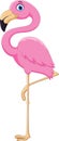 Cartoon pink flamingo bird. Funny and adorable Royalty Free Stock Photo