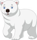 Cartoon polar bear isolated on white background