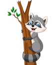 Cartoon Raccoon climbing on the tree Royalty Free Stock Photo