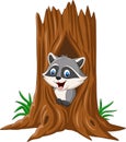 Cartoon raccoon sitting in hollow of a tree Royalty Free Stock Photo