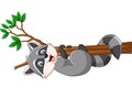 Cartoon Raccoon on the tree branch