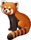 Cartoon red panda isolated on white background
