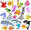 Cartoon sea life collection set Royalty Free Stock Photo