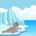 Cartoon seal floating on ice