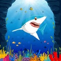 Cartoon shark under the sea Royalty Free Stock Photo
