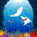 Cartoon shark under the sea Royalty Free Stock Photo