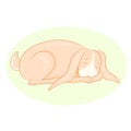 Illustration of cartoon sleeping rabbit