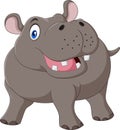 Cartoon smiling hippo isolated on white background Royalty Free Stock Photo