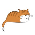 Illustration of cartoon striped ginger cat sleeping sweetly