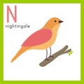 Illustration cartoon style of wildlife, nightingale