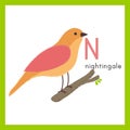 Illustration cartoon style of wildlife, nightingale