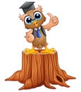 Cartoon wise owl in graduation cap on tree stump