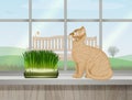 Illustration of cat with catnip on the window