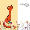 Illustration cat flowers greeting card Hello spring Royalty Free Stock Photo