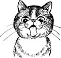 Illustration of cat Royalty Free Stock Photo
