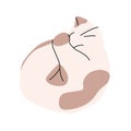 Illustration of cat sleeping in a circle. Isolated trendy simple art, cute beige kitten with spots taking a nap.