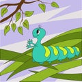 Illustration of a caterpillar on the grass in front of a tree branch.For the book, coloring.