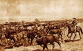 Illustration of a cattle drive