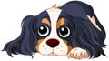 Spaniel Dog Royalty Free Stock Photo